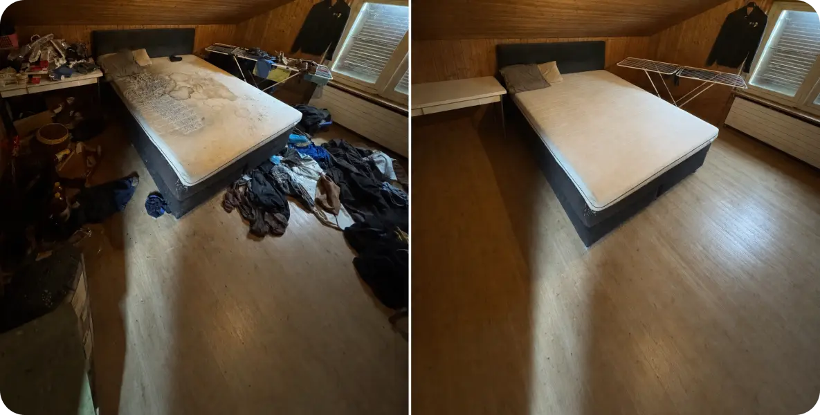 Professionelle Keller Räumung